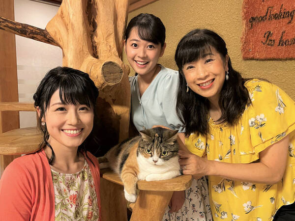 カンテレ 関純子アナ 愛猫は 呼ぶとすぐに返事をする犬っぽい猫です 21年8月17日 エキサイトニュース