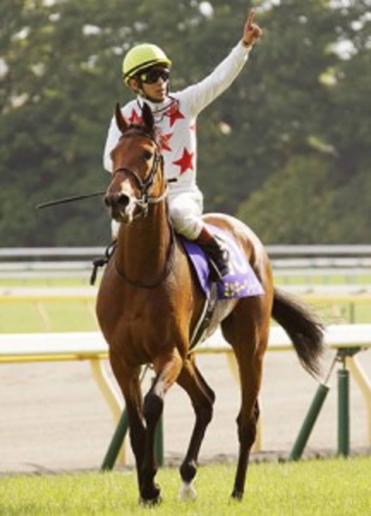 ヴィクトリアマイル 浜中とミッキークイーンとｇi勝利とディズニー 16年5月12日 エキサイトニュース