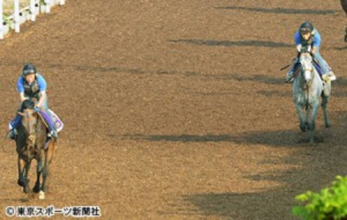 日本ダービー マウントロブソン 折り合いはつくので距離も大丈夫 16年5月24日 エキサイトニュース