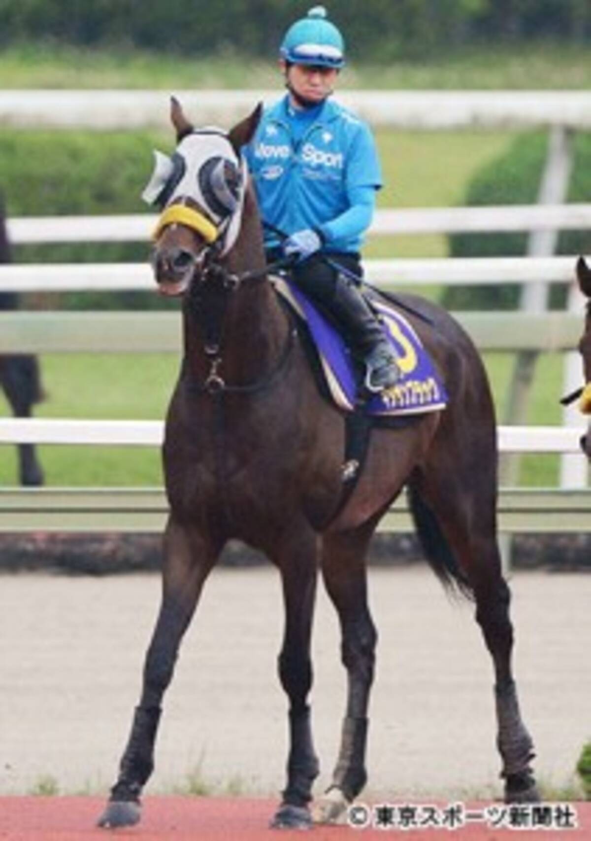 ドゥラメンテ電撃引退で思う 無事之名馬 の重み 2016年7月1日