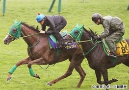 【札幌記念】ヌーヴォレコルト　武豊の代役・吉田隼を背に３馬身先着「立ち回りが上手な馬」
