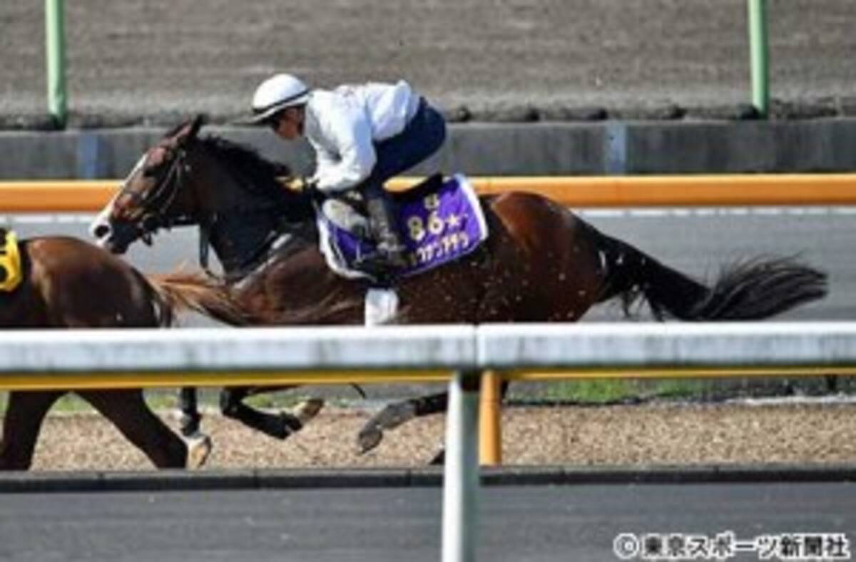 ショウナンアデラが引退 繁殖入り 17年4月日 エキサイトニュース