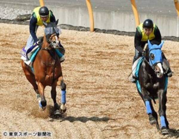 ｎｈｋマイルｃ ディバインコード １馬身先着 少しずつ成長して反応も良くなってきた 17年5月3日 エキサイトニュース