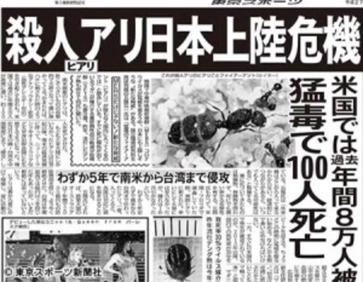 殺人アリ ヒアリ 日本で増殖するのか 2017年6月21日 エキサイトニュース