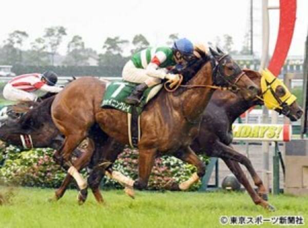 ｃｂｃ賞 シャイニングレイが勝利 2017年7月2日 エキサイトニュース