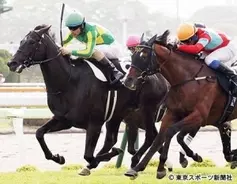 函館初参戦ルメール 巴賞サトノアレスは 勝って自信を取り戻してあげたい 2017年6月28日 エキサイトニュース