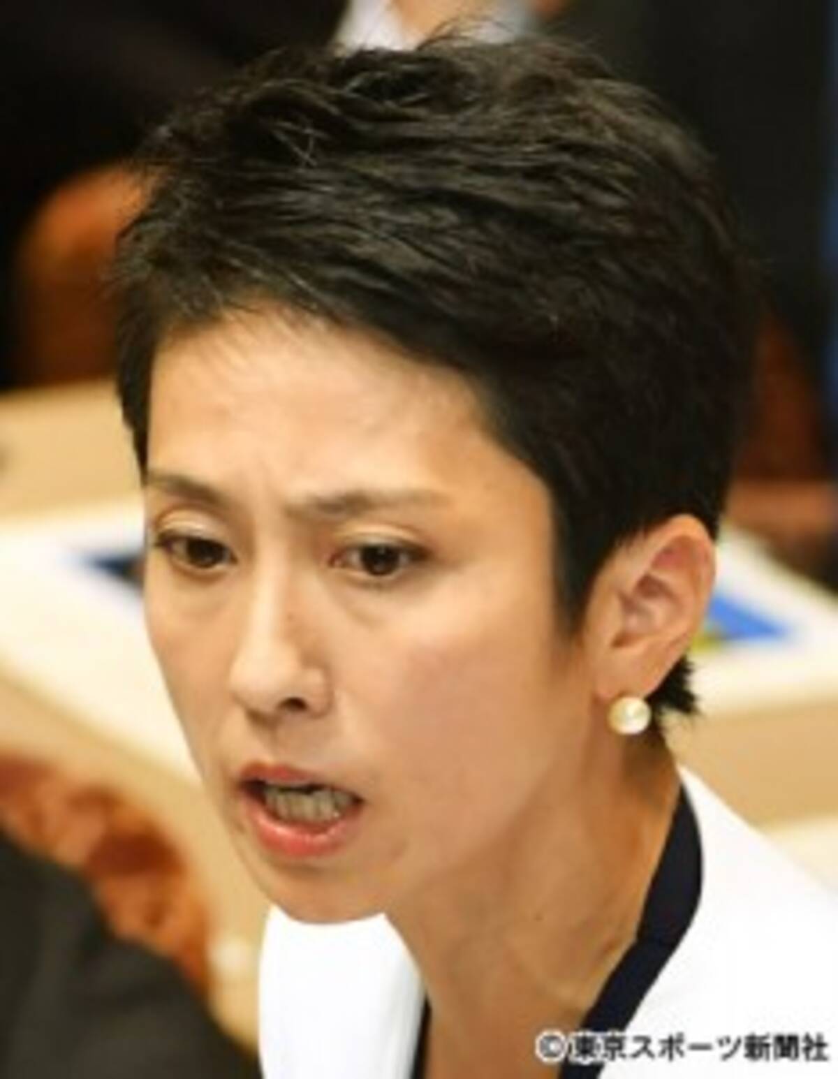 蓮舫代表 戸籍公表の意向表明も民進党内から いまさら遅い の声 2017年7月12日 エキサイトニュース