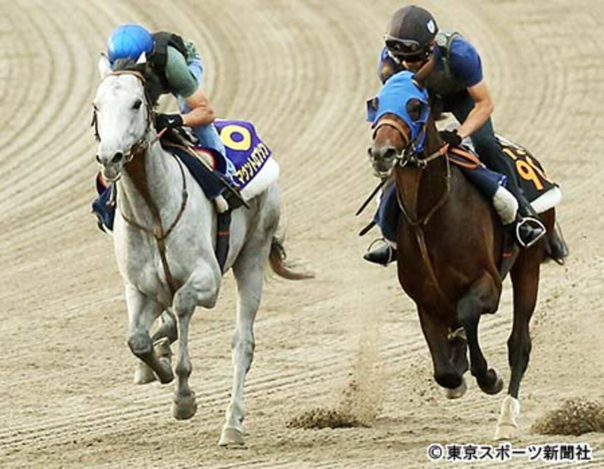 札幌記念 マウントロブソン １馬身半先着にモレイラ スムーズな競馬さえできればチャンスはある 17年8月17日 エキサイトニュース