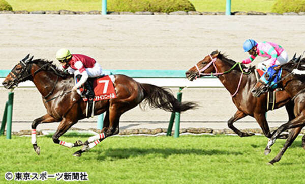 セントウルｓ ２着ラインミーティア 関東馬初のサマースプリント王 2017年9月11日 エキサイトニュース