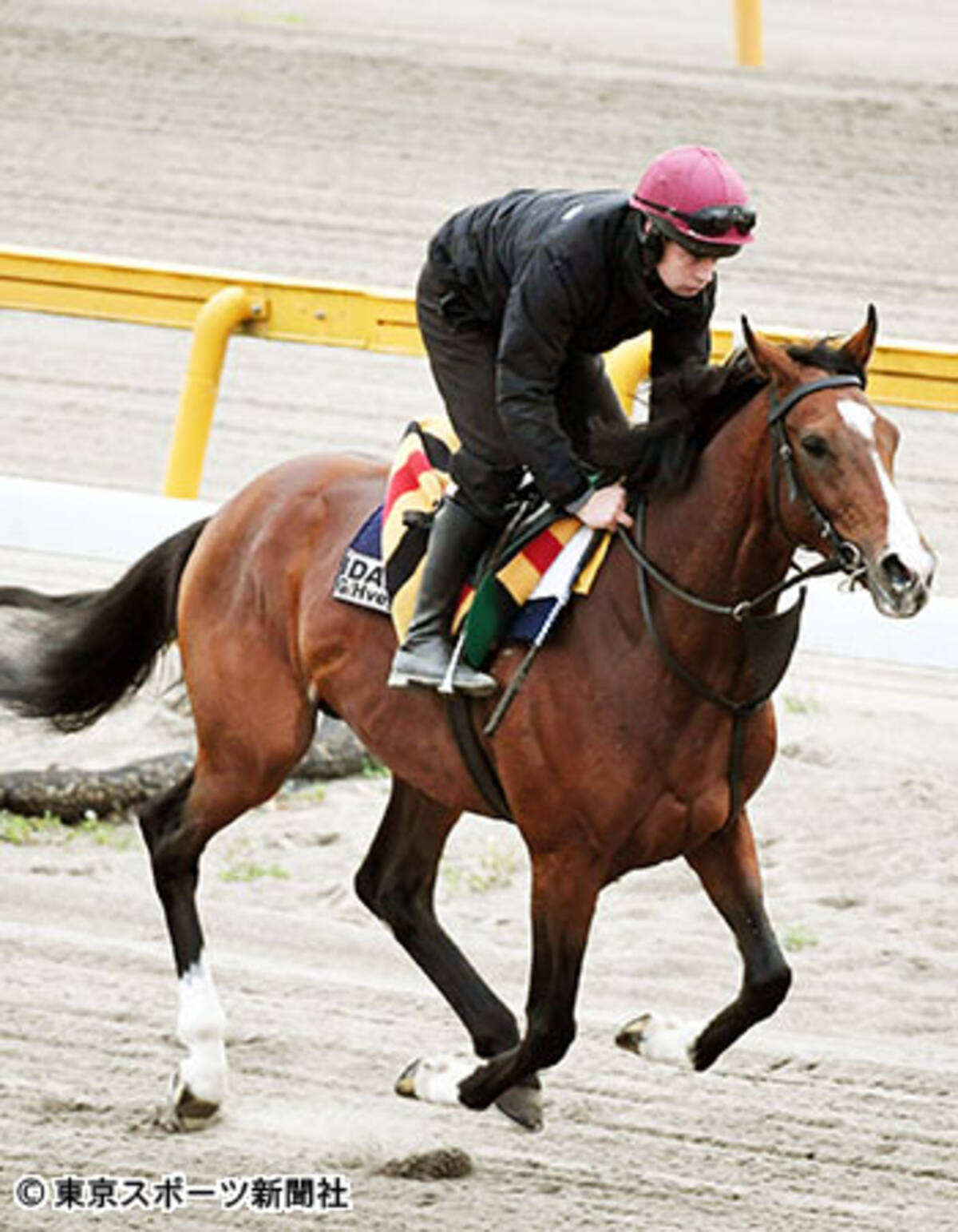 ジャパンカップ 血統調査 アイダホの父ガリレオは昨年の凱旋門賞1 3着独占 全兄ハイランドリールはgi 6勝の名馬 17年11月23日 エキサイトニュース ジャパンカップ 血統調査 アイダホの父ガリレオは昨年の凱旋門賞1 3着独占 全兄ハイランドリールはgi 6勝の名馬 17年11月23日 エキサイトニュース