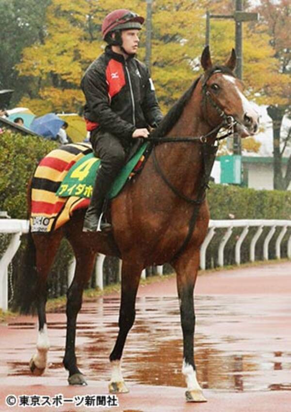 jc外国馬 7枠14番アイダホ 愛 米国西部のロッキー山脈にある州 17年11月24日 エキサイトニュース jc外国馬 7枠14番アイダホ 愛 米国西部のロッキー山脈にある州 17年11月24日 エキサイトニュース