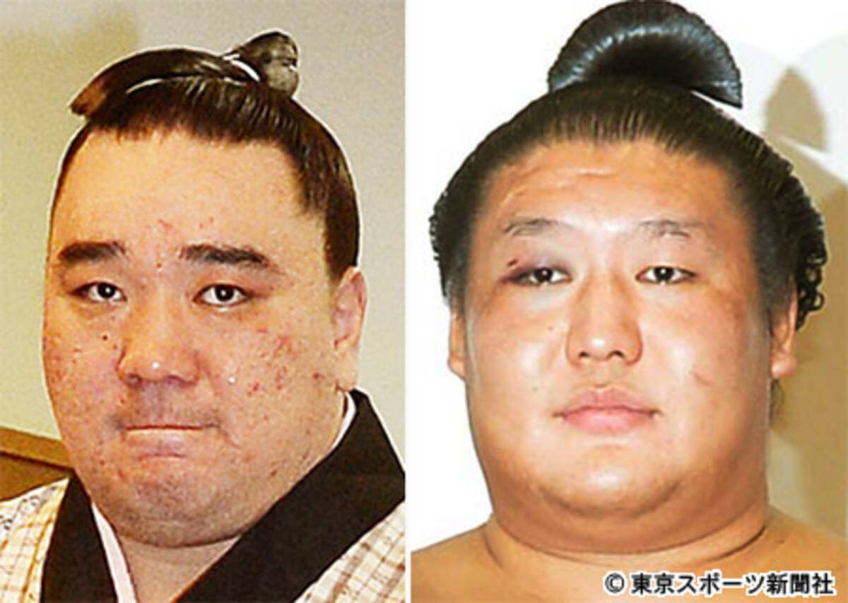 同席写真で分かる日馬富士と貴ノ岩 謎の交遊実態 2017年11月29日 エキサイトニュース