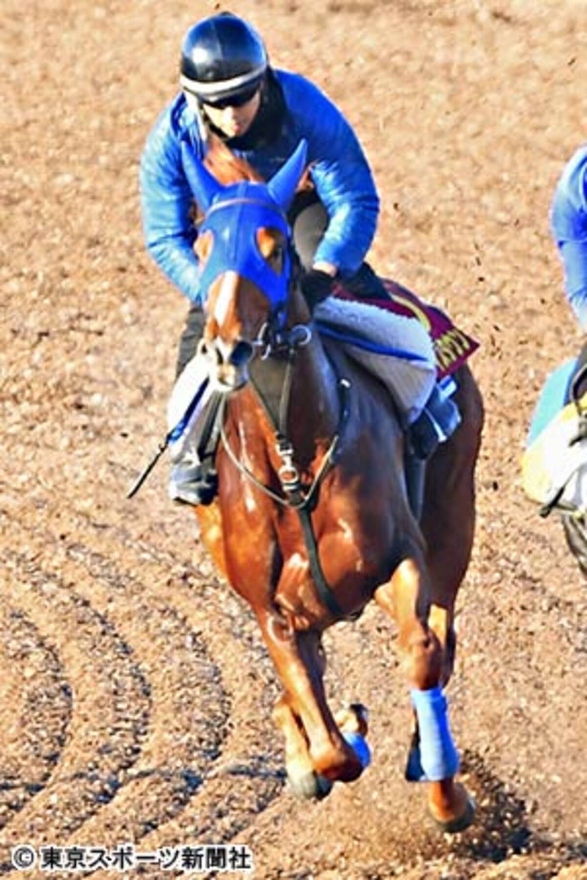 阪神ｊｆ ロックディスタウンにマウレア 今年もあるぞ関東馬の激走 17年12月7日 エキサイトニュース