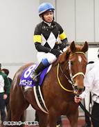 高松宮記念 ３年ぶりｇi制覇目指す 競馬界のツヨカワ レッツゴードンキの素顔 18年3月21日 エキサイトニュース