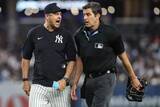 「【ヤンキース】ブーン監督が４８度目の退場　ラソーダ氏らに並ぶＭＬＢ歴代２６位タイ浮上」の画像1