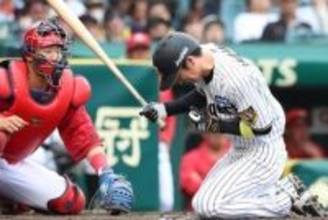 【阪神】近本光司離脱で大型連休９連戦に「非常ベル」…　藤川監督の真価問われる異例招集