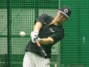 【阪神】佐藤輝明のメジャー評価「１億ドル超え」も　背景に打者有利の環境変化