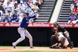 「【ＭＬＢ】試合はどこへ…ドジャースに惨敗のエンゼルス〝謎の段ボール〟で「ネズミ騒動」再燃」の画像1