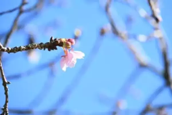 夏バテならぬ〝春バテ〟解消へ　３日連続の有酸素運動で体を目覚めさせる！