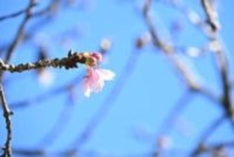 夏バテならぬ〝春バテ〟解消へ　３日連続の有酸素運動で体を目覚めさせる！