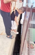 中国で子犬が高架橋の隙間に転落　３歳女児がロープでつり下ろされ救出も物議
