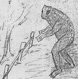 「米オハイオ州でＵＭＡ「ラブランド・フロッグ」を州公式未確認生物に指定する法案提出」の画像1