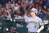 「【ドジャース】佐藤輝明がマンシー、Ｔ・ヘルナンデスの後釜候補に「チーム若返り」「パワー注入」専門メディア」の画像1