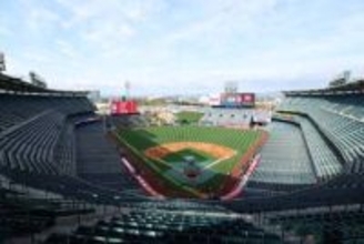 【ＭＬＢ】エンゼルス球場でネズミの大量発生「フンと侵入経路」発見で売店の一部閉鎖＝米報道