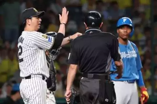 【阪神】藤川監督が接触プレーに猛抗議も実らずぶ然　審判「自然な動きのためインプレー」