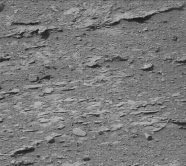 火星のパーティーハット型物体　ＮＡＳＡとハーバード大天体物理学者が反対意見