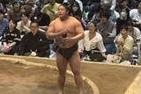 「【大相撲】若元春が〝プロレス愛〟熱弁　期待はフワちゃん「慢心した気持ちもなくて推せます」」の画像1