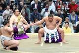 「【大相撲】本命・豊昇龍は朝青龍の〝厳しさ〟を見習うべき　新関脇の熱海富士にもチャンス」の画像1