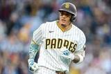 「【ＭＬＢ】打撃不振のパドレス　選手、監督が必死に打撃コーチかばう「思いやりのある人です」＝地元報道」の画像1