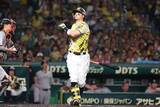 「【阪神】佐藤輝明が２年ぶり死球「ケガしなくてよかった」 甲子園は怒号に包まれる」の画像1