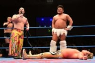 【全日本】３冠挑戦控える羆嵐　元Ｗ―１立花のセコンド参加取り付けるも本田からは拒否