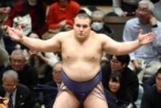 【大相撲】春場所は安青錦が綱取りの予感！　元大関が勢い指摘「朝青龍関のよう」