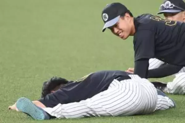 「【阪神】嶋村麟士朗が〝力士級〟の股割り　岡城のいたずらにも持ち前の柔軟性でペタリ」の画像