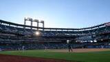 「【ＭＬＢ】首位メッツは観客動員に苦戦　無料チケット配布も５８％が〝無断欠席〟の背景とは…」の画像1