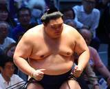 「【大相撲】序盤戦つまずいた大の里に芝田山親方が〝愛のゲキ〟「負けても勝っても堂々としておけ」」の画像1