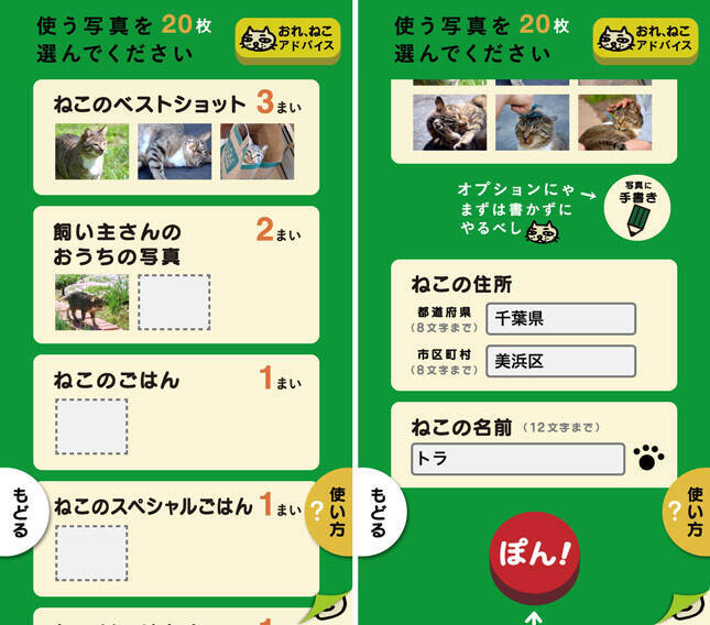 Iphoneでeテレ0655の ねこのうた を作れる スライドショー作成アプリ おれ ねこ 思い出ぽん 13年11月25日 エキサイトニュース