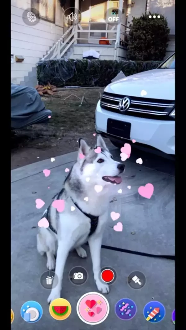 「￥120→無料：ネコ投げARシミュレーター「AR Throwing Simulator」ほか［5月29日版］セール・お得情報」の画像