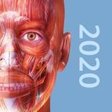 「96%OFF：3D人体模型アプリ「ヒューマン・アナトミー・アトラス2021」ほか［10月8日版］セール・お得情報」の画像19