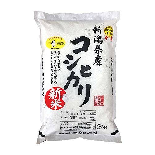 【本日24時開始】最大10,000ポイント還元「Amazonブラックフライデー」が今夜から開催