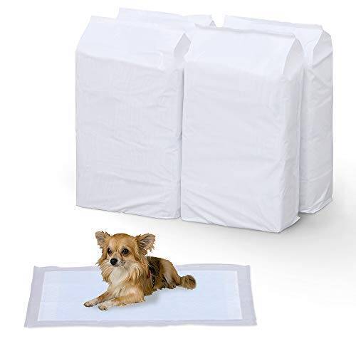 【本日24時開始】最大10,000ポイント還元「Amazonブラックフライデー」が今夜から開催