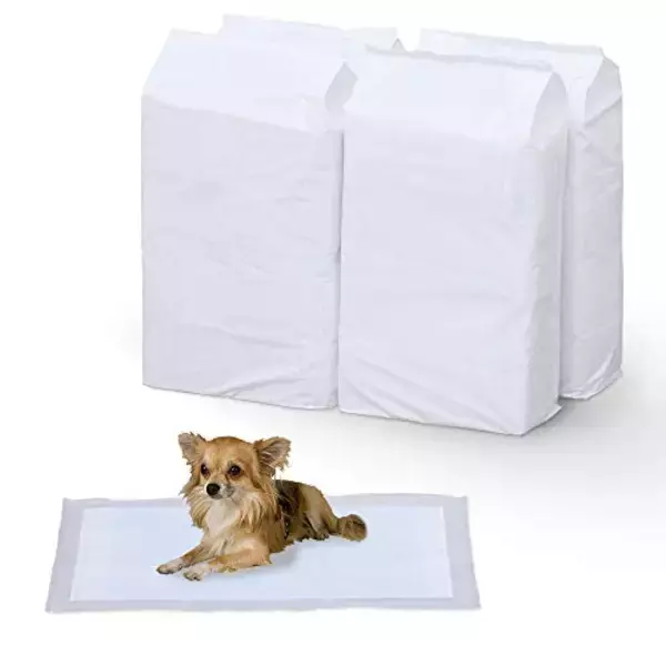 「【本日24時開始】最大10,000ポイント還元「Amazonブラックフライデー」が今夜から開催」の画像