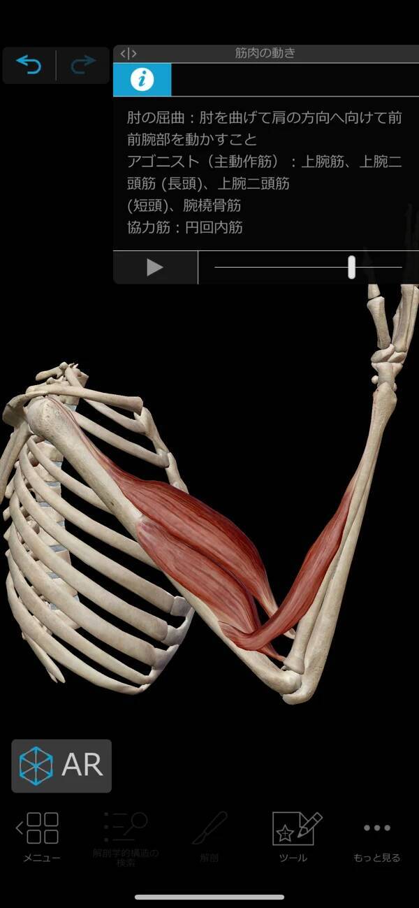 96%OFF：3D人体模型アプリ「ヒューマン・アナトミー・アトラス2021」ほか［5月25日版］セール・お得情報