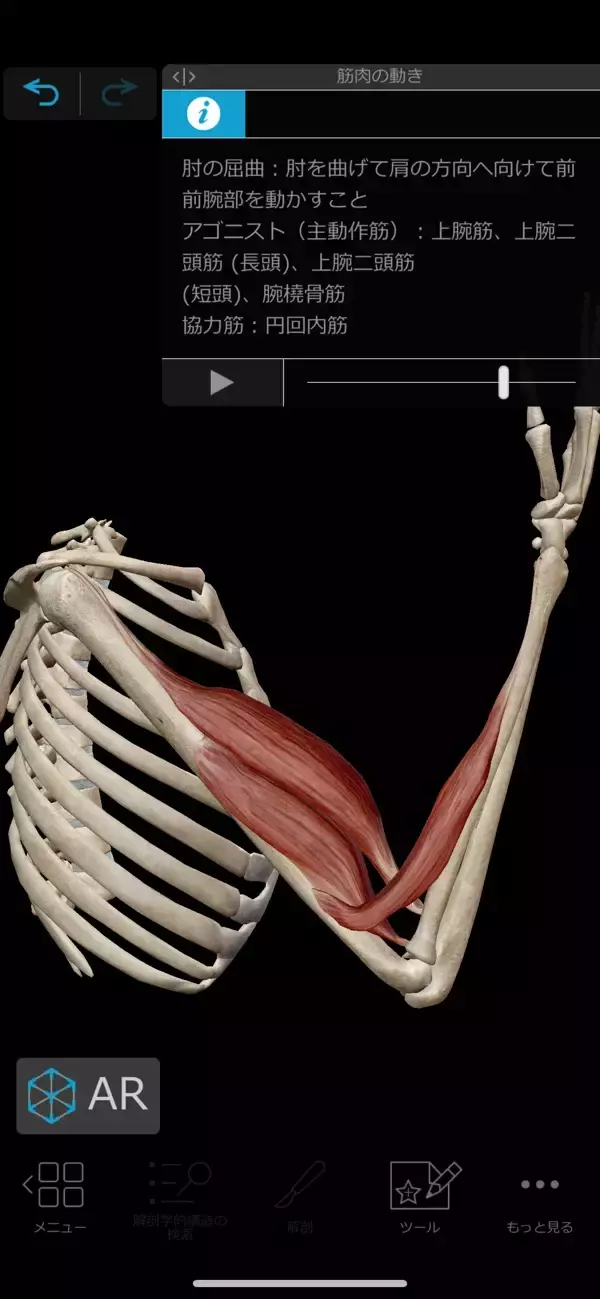 「96%OFF：3D人体模型アプリ「ヒューマン・アナトミー・アトラス2021」ほか［5月25日版］セール・お得情報」の画像