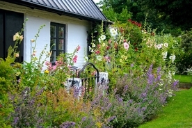 【ガーデニング】ナチュラル＆シンプルな庭がオシャレ！北欧風ガーデンの作り方＆オススメ植物5選