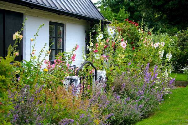 ガーデニング ナチュラル シンプルな庭がオシャレ 北欧風ガーデンの作り方 オススメ植物5選 22年5月6日 エキサイトニュース