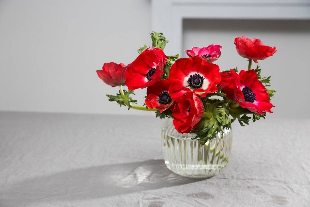 インテリア 部屋を春らしくオシャレに オススメの切り花5選 22年3月5日 エキサイトニュース 3 3